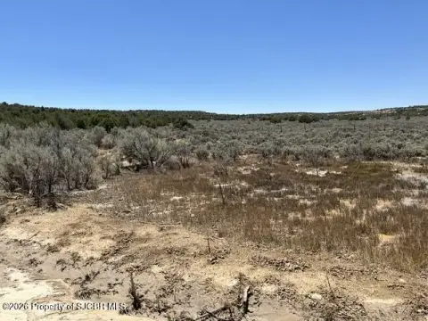 Cedar and Pinon Land