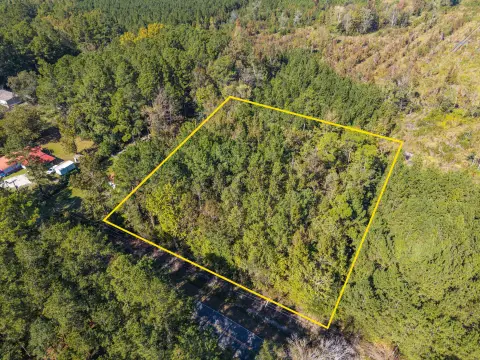 Walterboro Vacant Land Opportunity