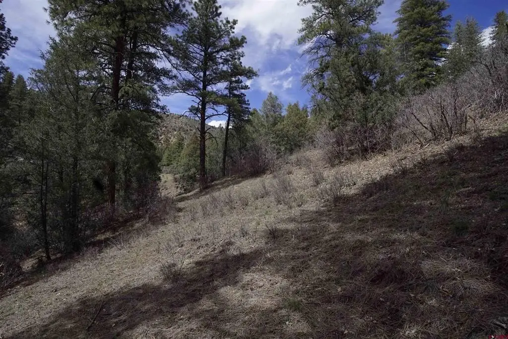 Picture 27
