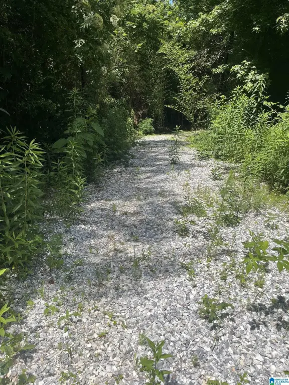 Picture 3