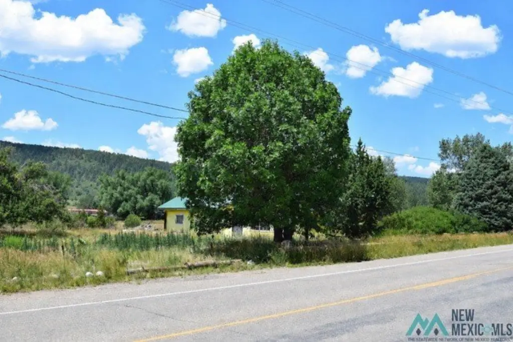 Picture 23
