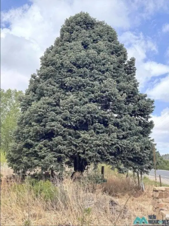 Picture 22