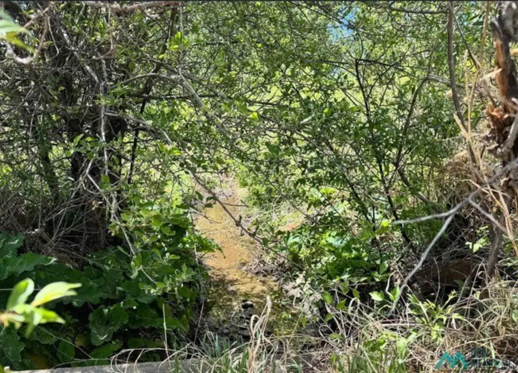 Picture 19
