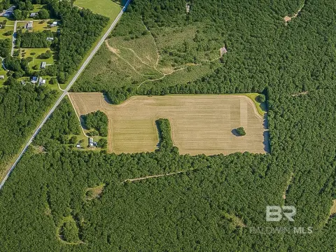 61 Acres Development Opportunity