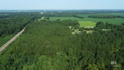 Wooded Acreage in Canoe Community