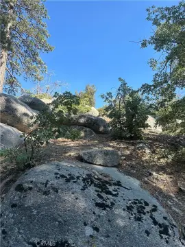 Arrowbear Land in National Forest