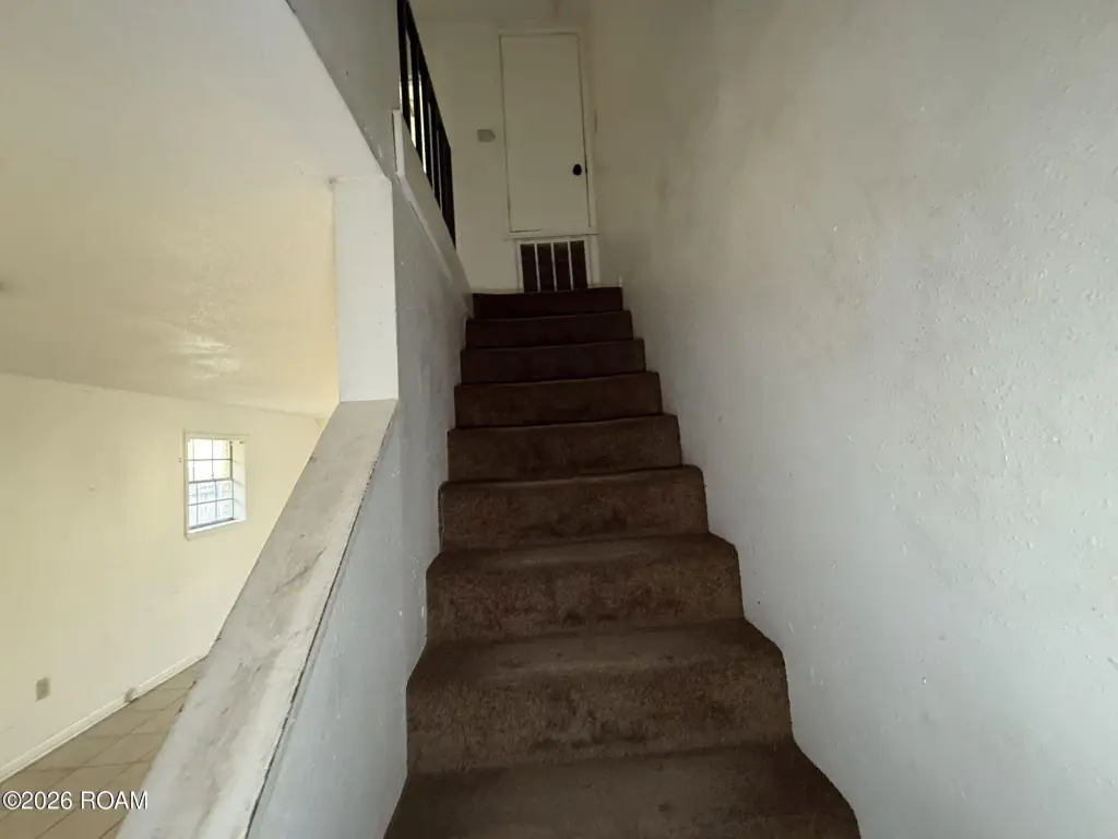 Picture 44