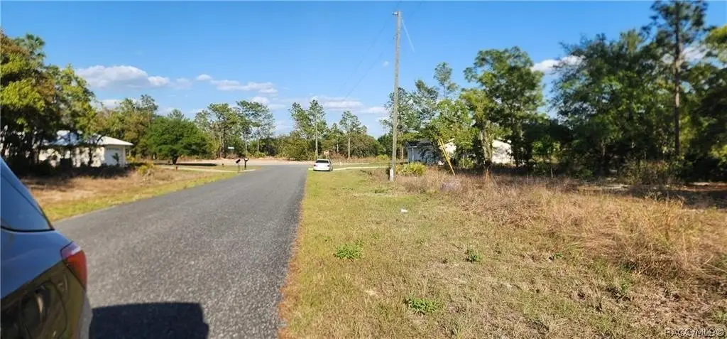 Picture 6