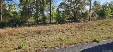 Residential Lot in Citrus Springs