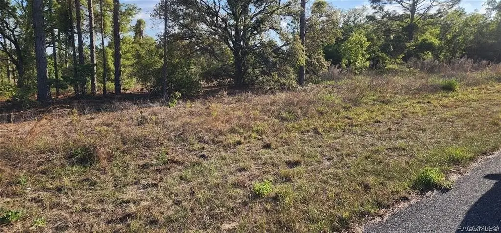 Picture 8