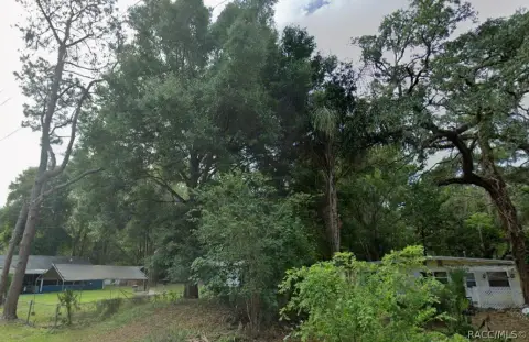 Homosassa Land: Coastal Retreat Opportunity