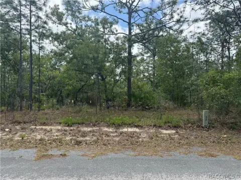 Vacant Land in Sugarmill Woods