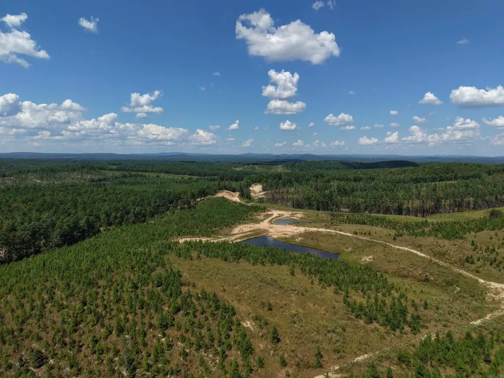 Picture 10
