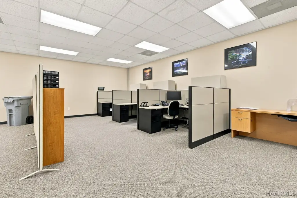 Picture 12