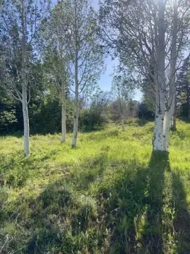 Kolob, UT Acre Lot
