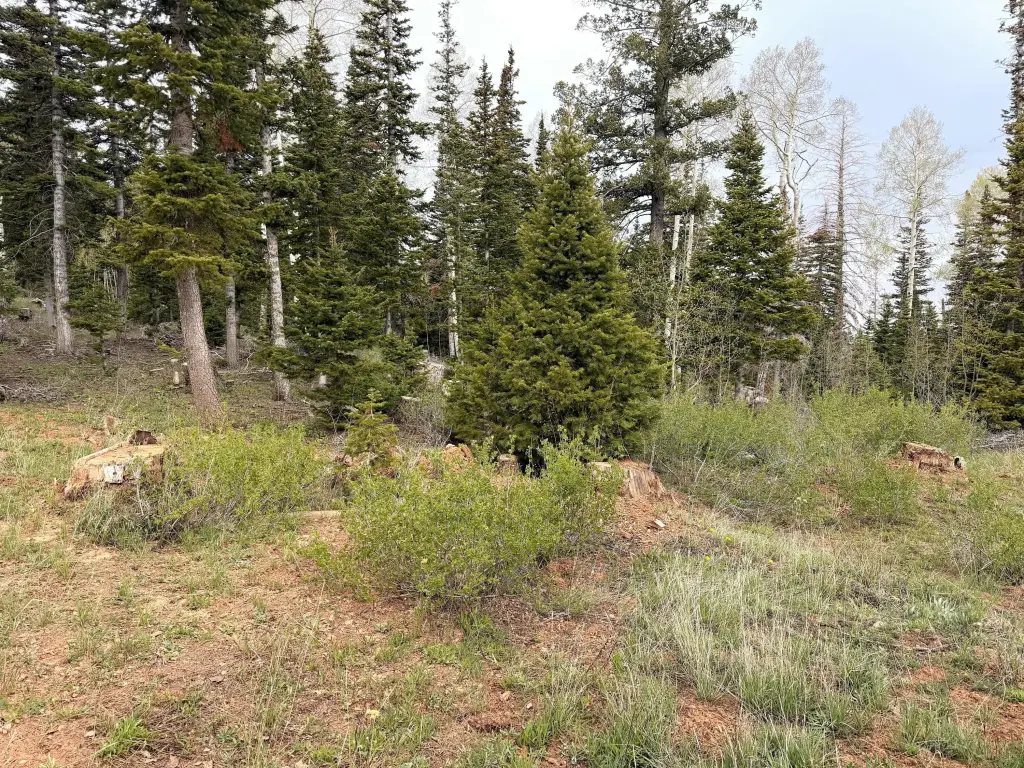 Picture 56