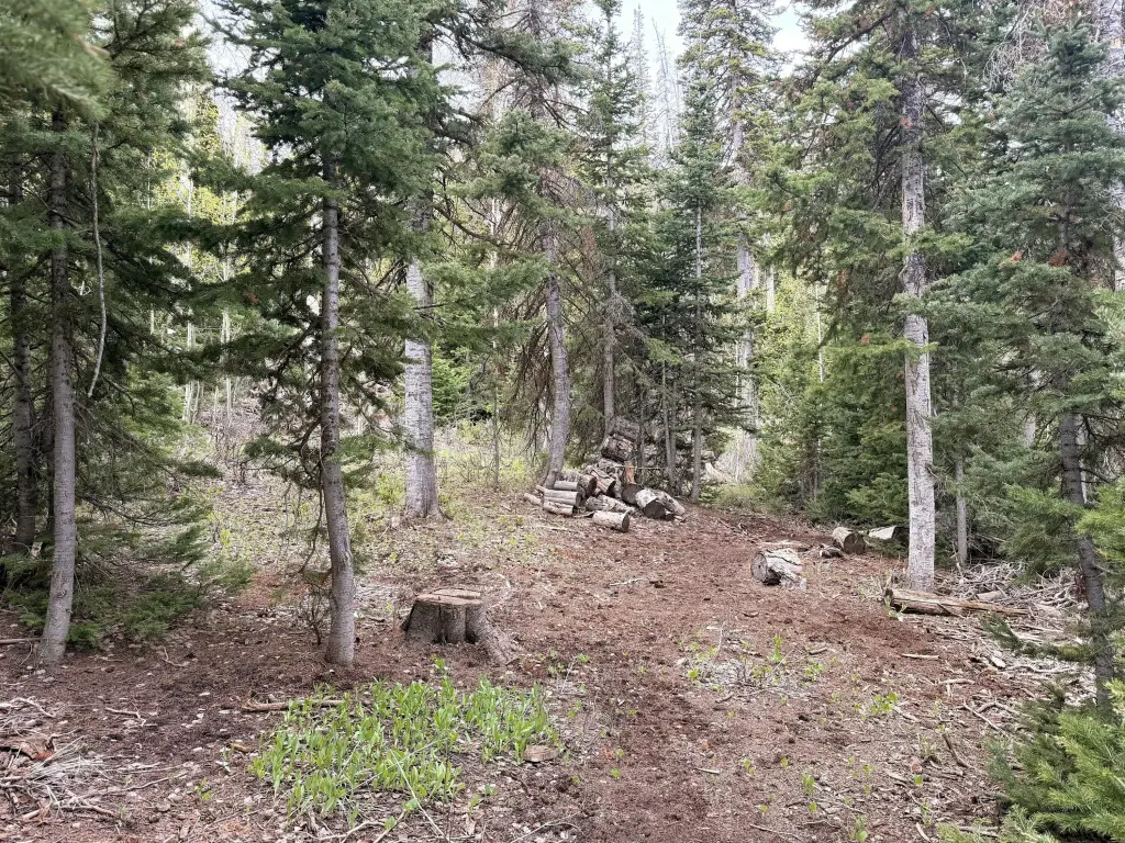 Picture 23