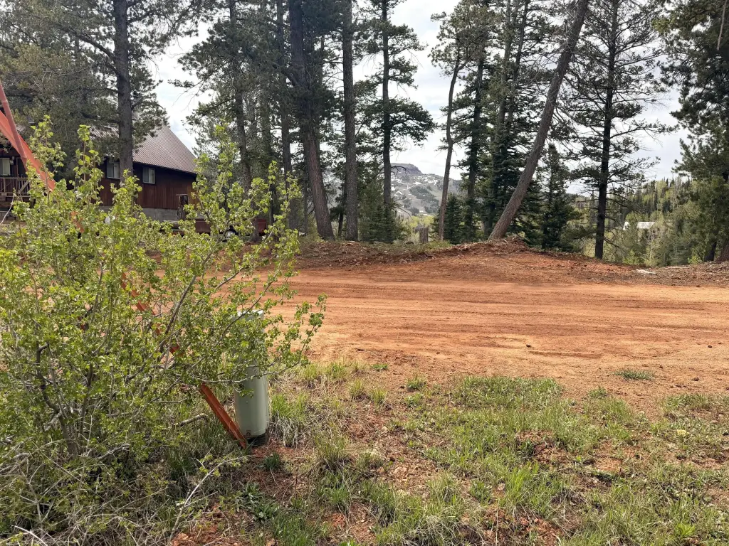 Picture 14