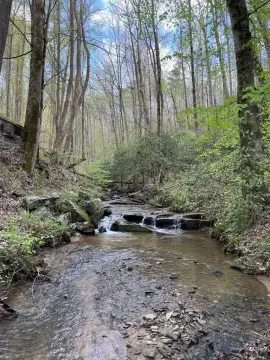 North Georgia Hunting and Recreation Land