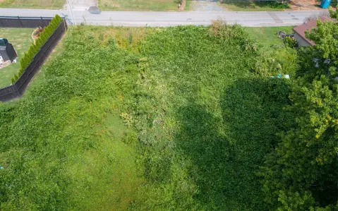 Blue Ridge Vacant Lot