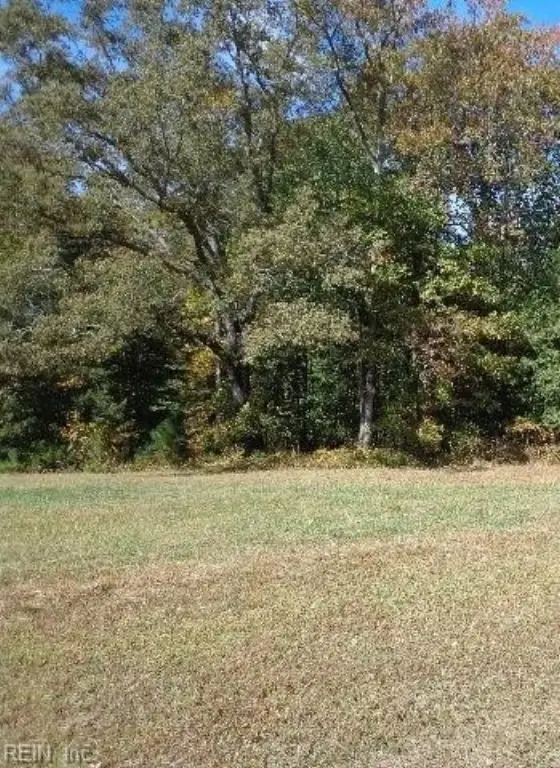 Picture 14
