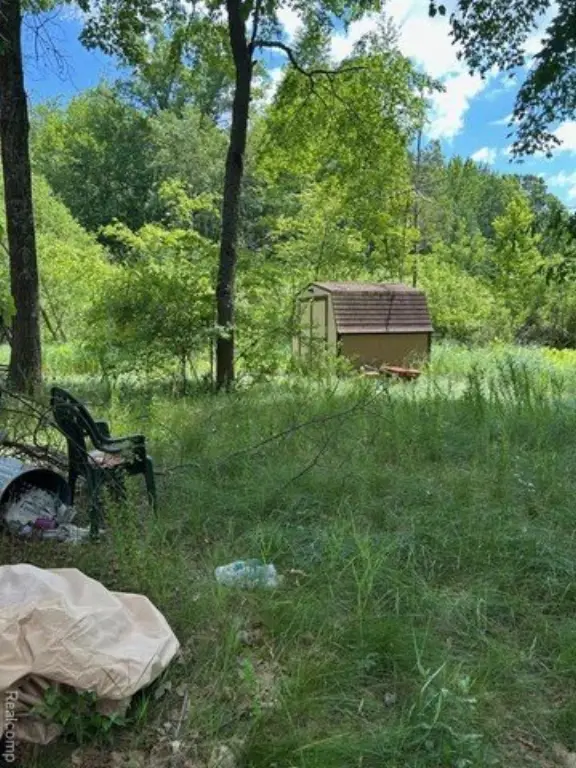 Picture 3