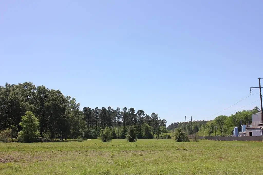 Picture 15