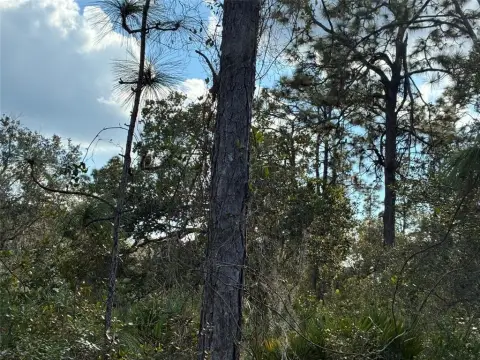 Residential Land Near Club House