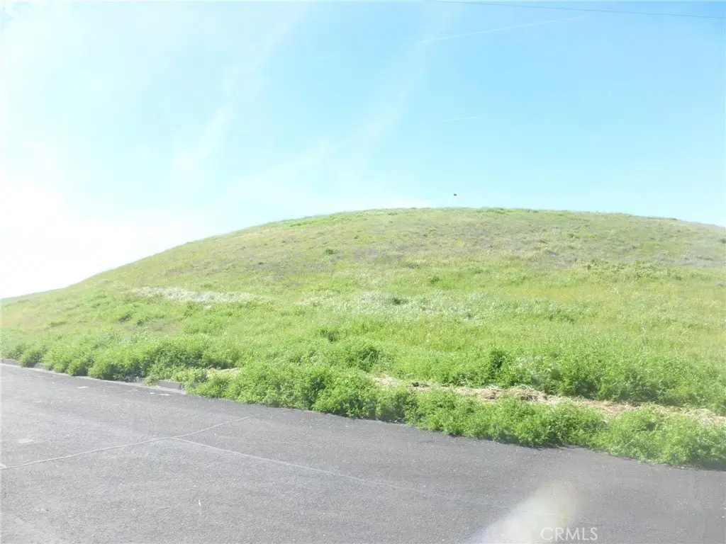 Picture 23