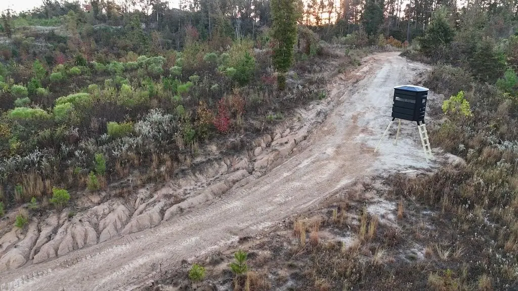 Picture 4