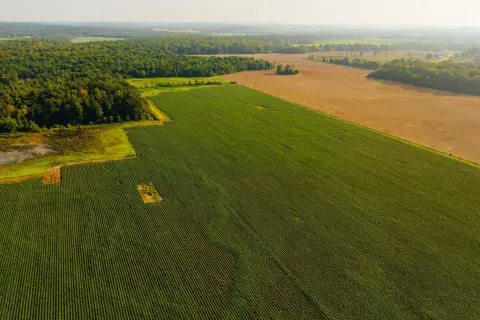Hunting Land with Tillable Acreage