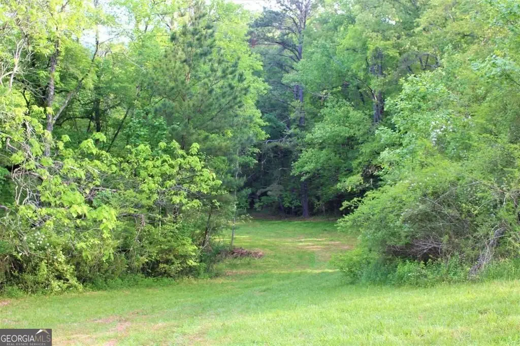 Picture 23