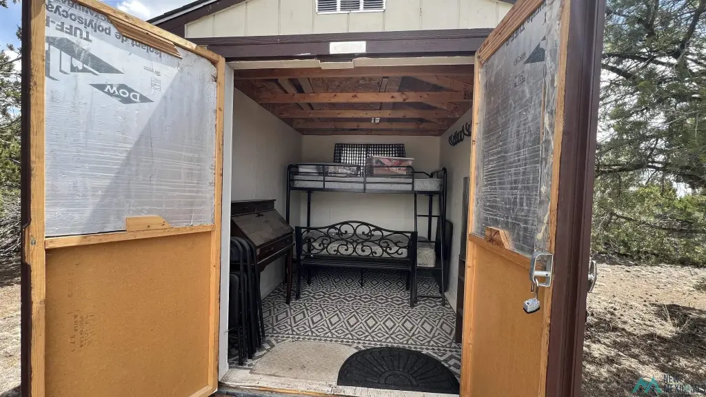 Picture 11