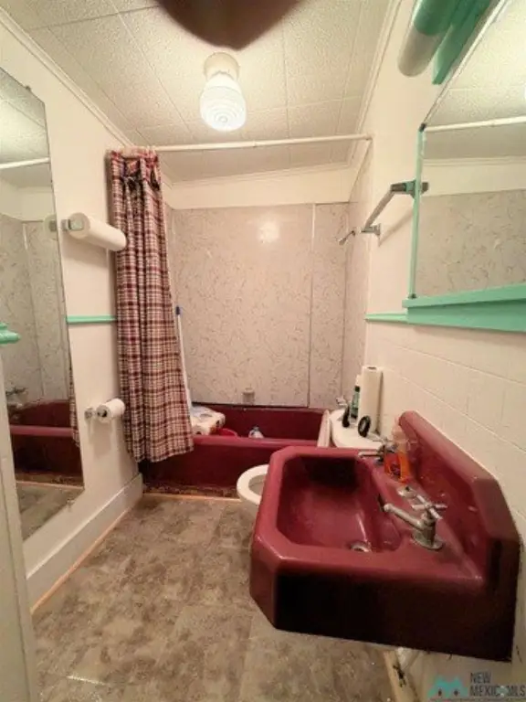 Picture 6