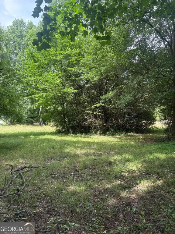 Picture 2