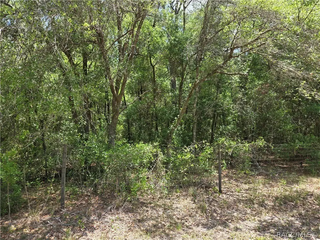 Picture 5