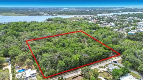 Residential Homesite with Forest Backdrop