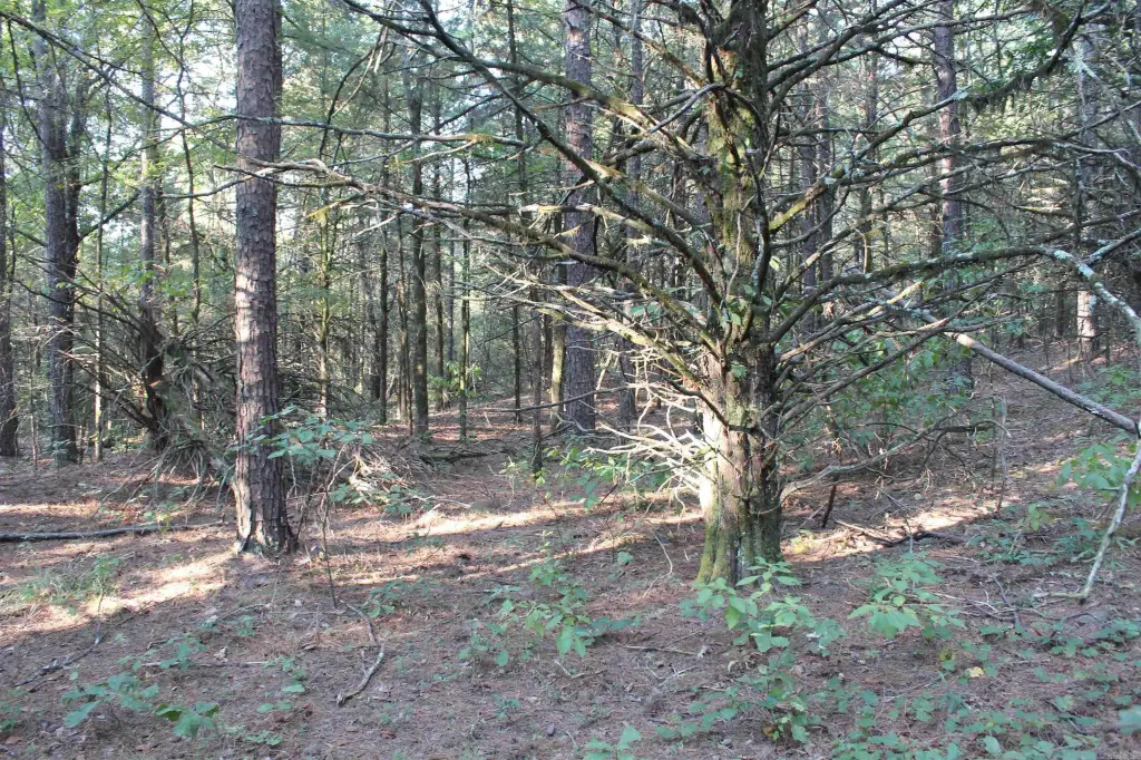 Picture 17