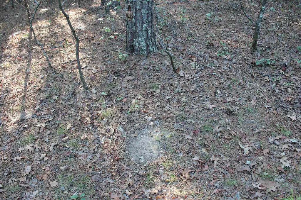 Picture 27