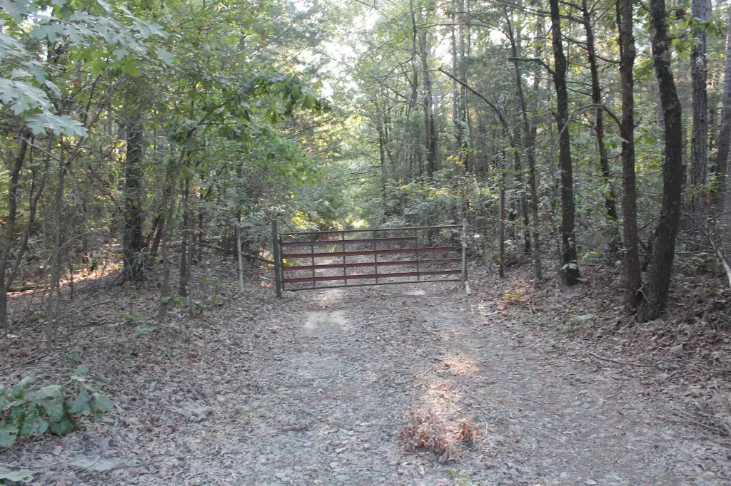Picture 9