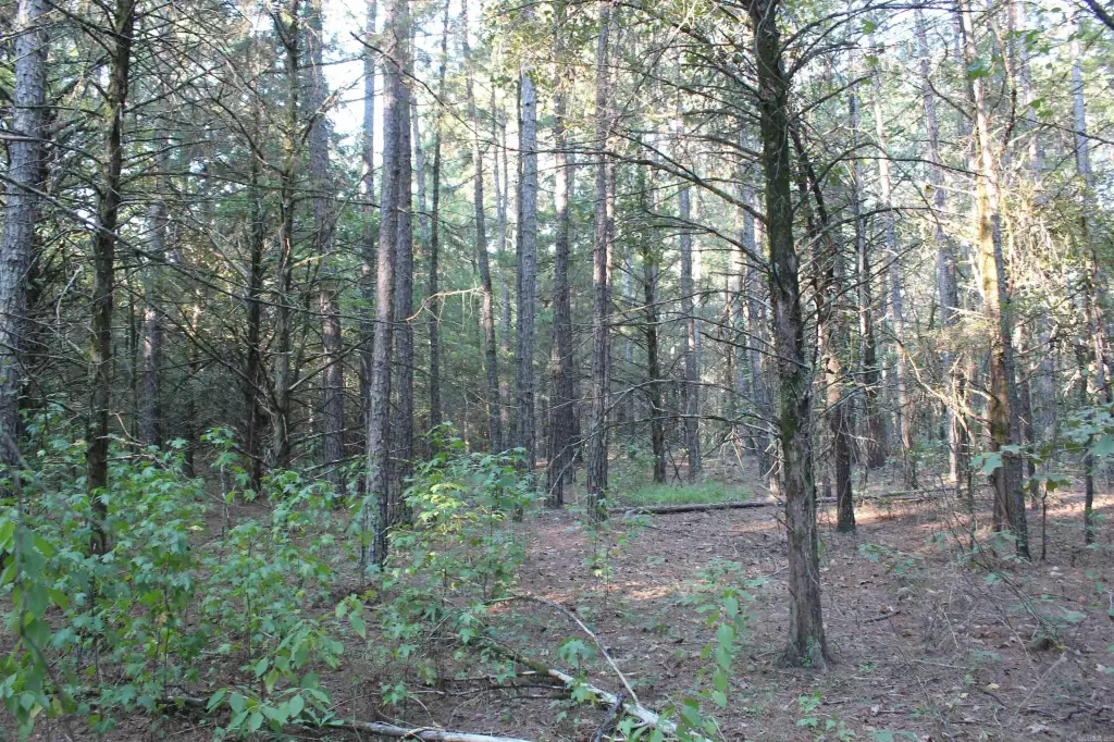 Picture 14