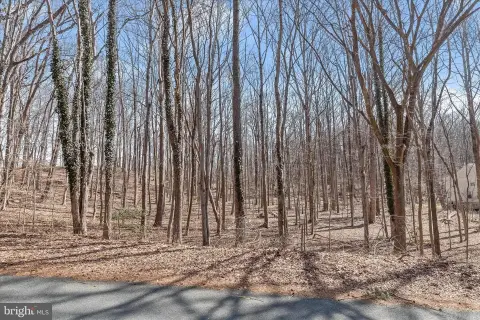 Wooded Lot in Davidsonville, MD
