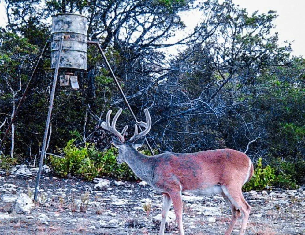 Picture 7