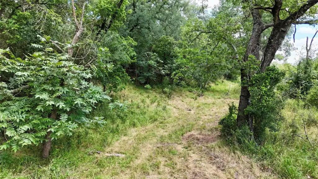 Picture 22