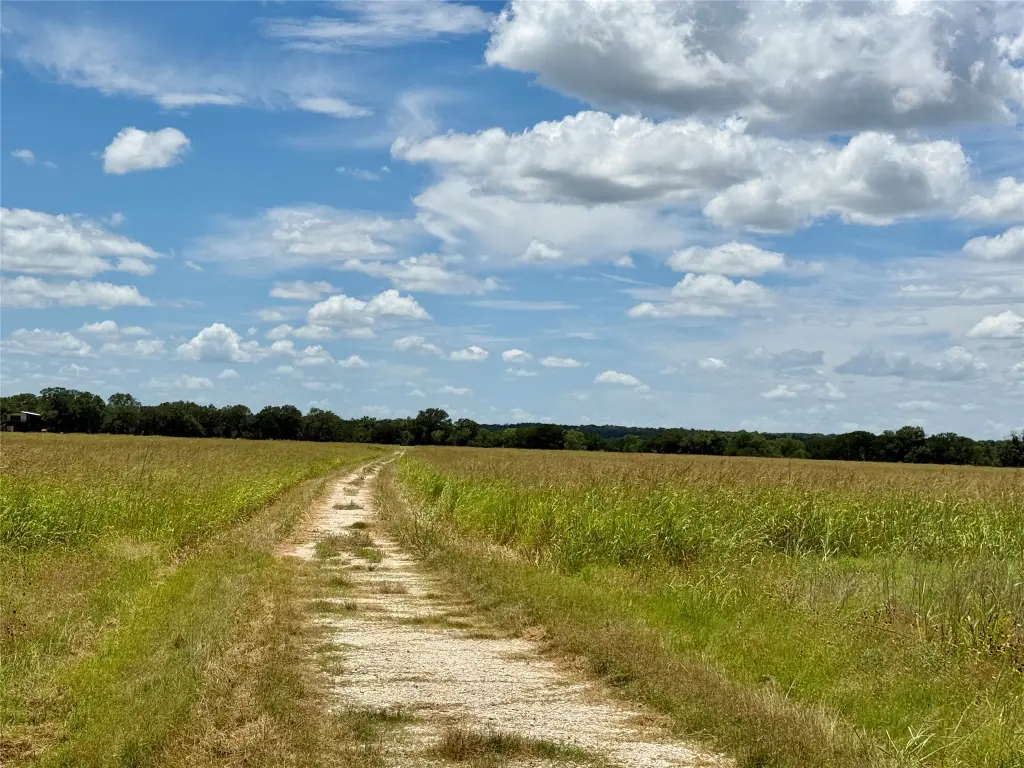 Picture 28