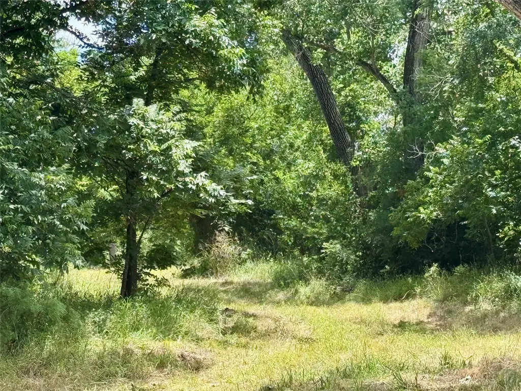 Picture 35