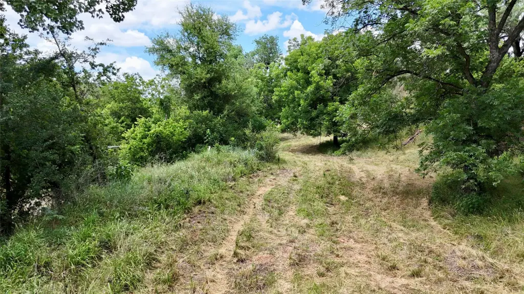 Picture 25