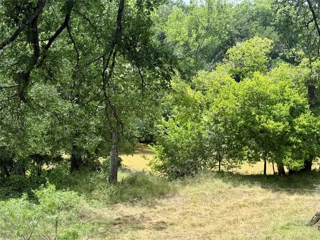 Picture 31