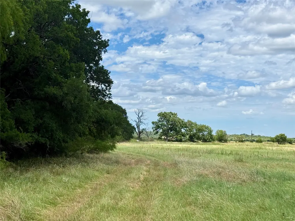 Picture 29