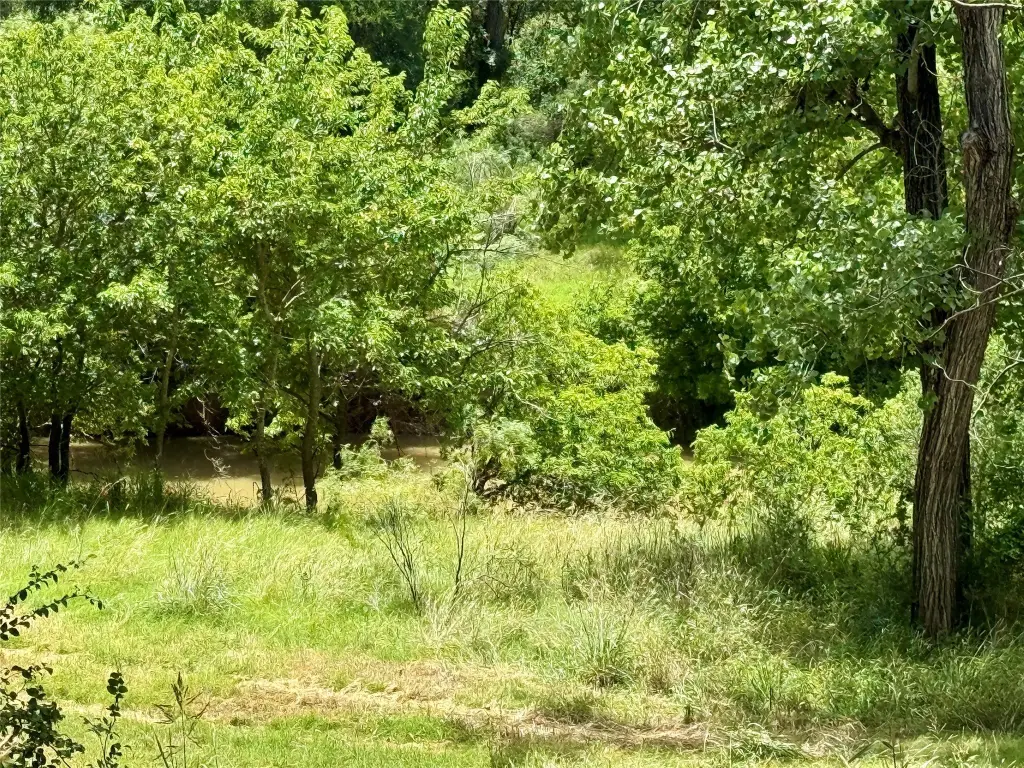 Picture 34